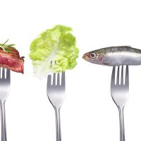 Fisch,Fleisch,Salat